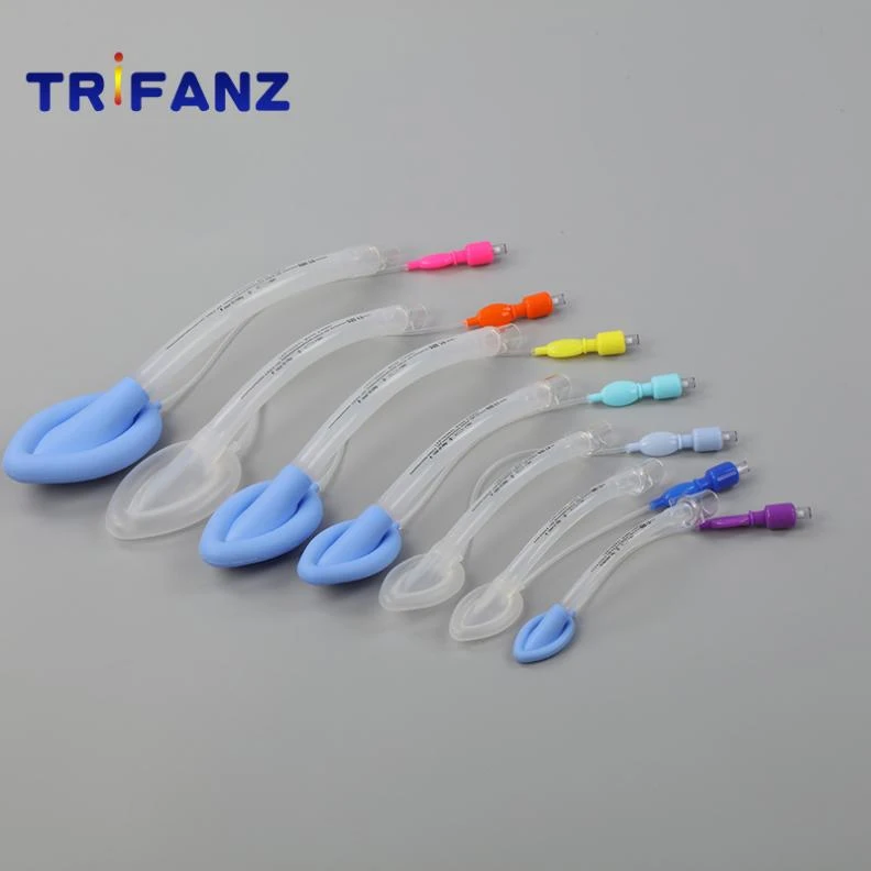product-792-792 product-792-792